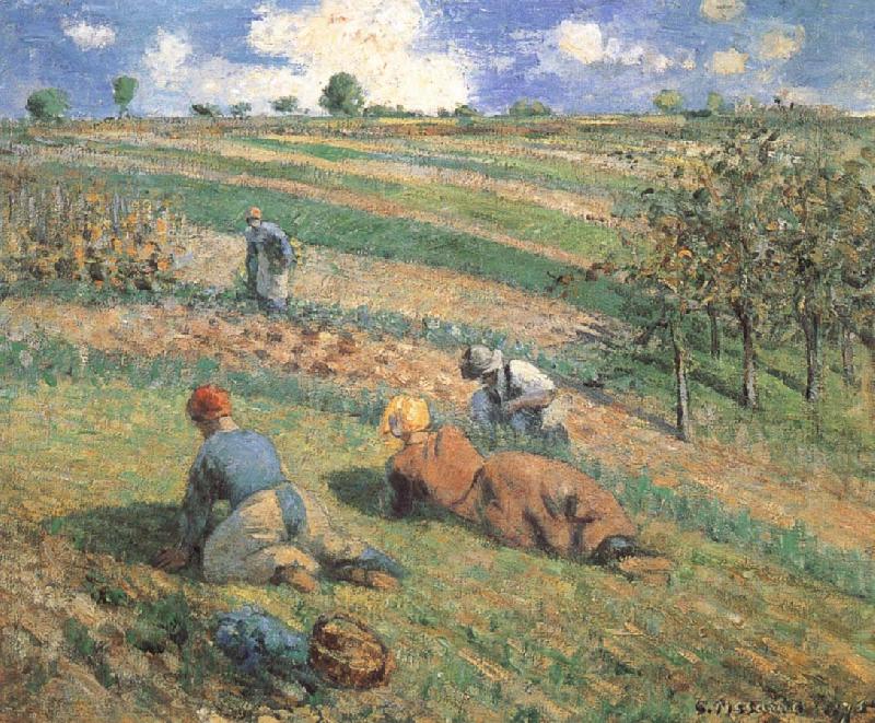 Camille Pissarro Field work Germany oil painting art